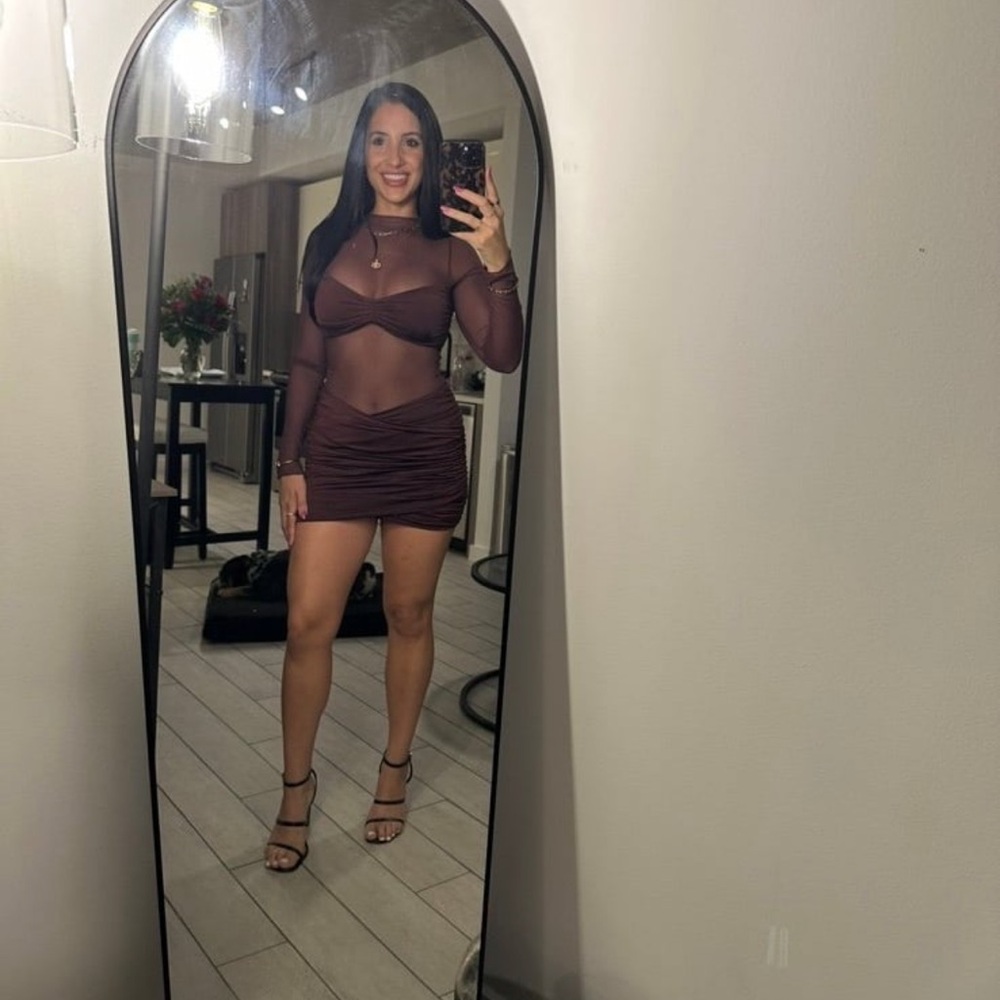 Elegant Sheer Brown Dress